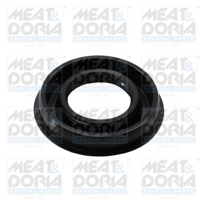 Seal, injector holder